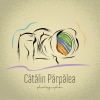Catalin Parpalea