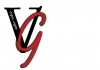 vgstudio