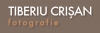 Tiberiu Crisan