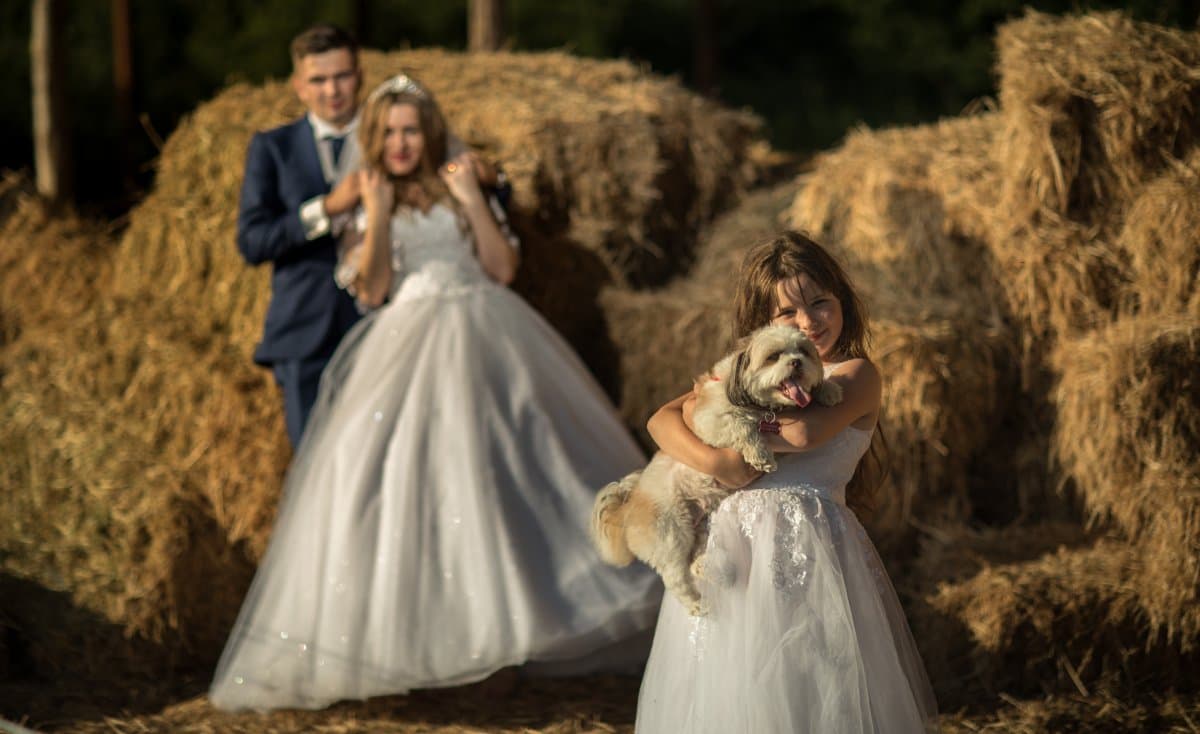 Baile Felix - locatie pentru nunti in Băile Felix, Bihor