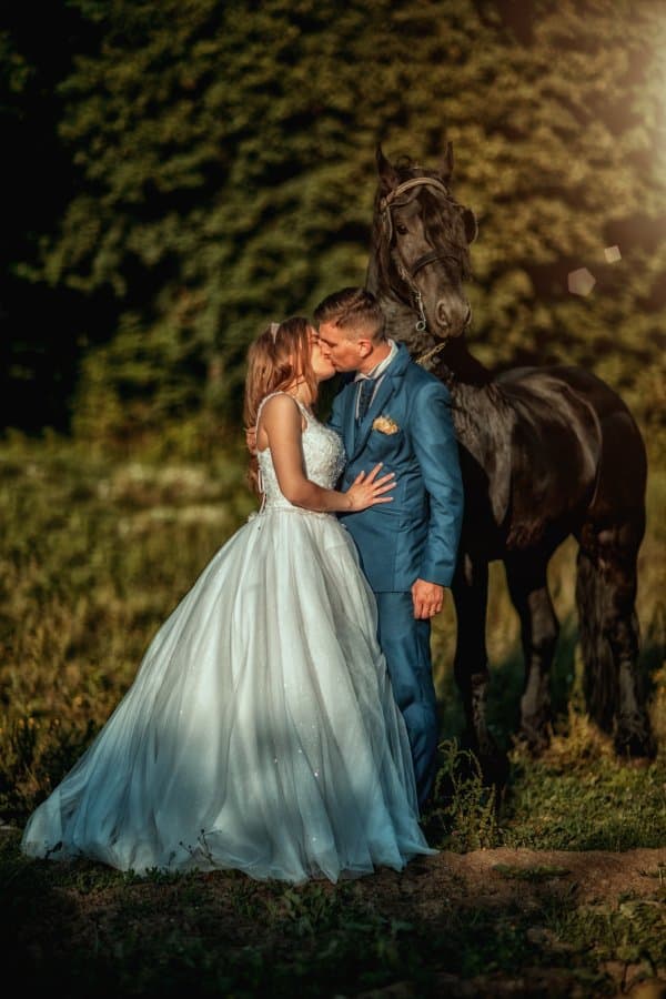 Baile Felix - locatie pentru nunti in Băile Felix, Bihor