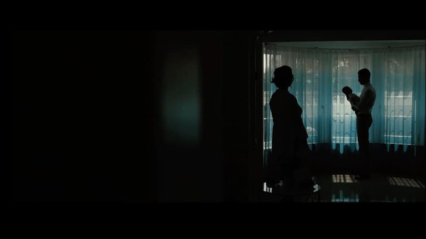 Pensiunea Diana - locatie pentru nunti in Argeșelu, Argeș