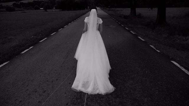 Videoclip de Andrei M. Vacar la Hilton