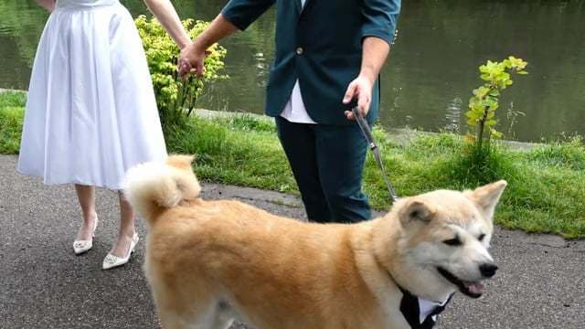 RustiQ Garden - locatie pentru nunti in Cluj-Napoca, Cluj