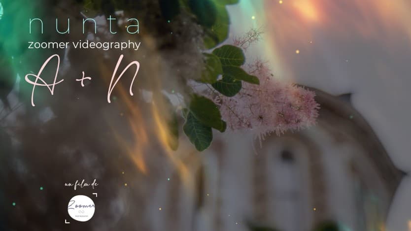 Videoclip de ZOOMER STUDIO la Palace Events