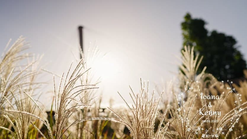 Videoclip de CKfoto Romania la Magic Place Events - Grant