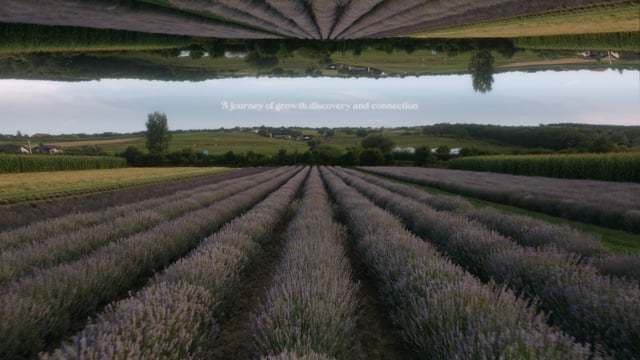 Pensiunea Elisabeth - locatie pentru nunti in Sărmășag, Sălaj