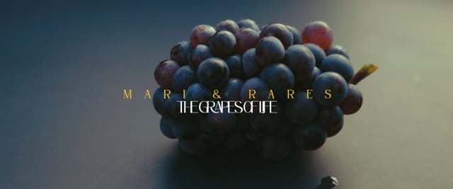 Videoclip de Damian Films  la Ciresul Salbatic