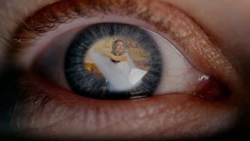 Videoclip de Vicentiu Brencea la Royal Park