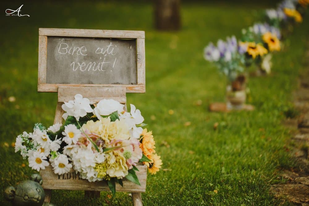 Denisa &amp; Valentin  - Fotografii de Alex Merfu