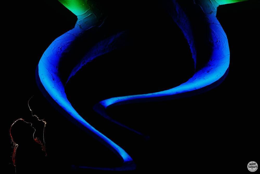 Botez Robert - Fotografii de Lupascu Photography