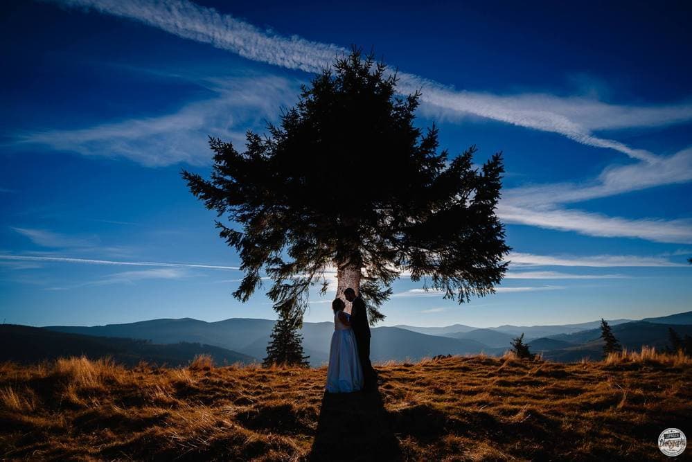 Nunta Carmen &amp; Ovidiu - Fotografii de Lupascu Photography