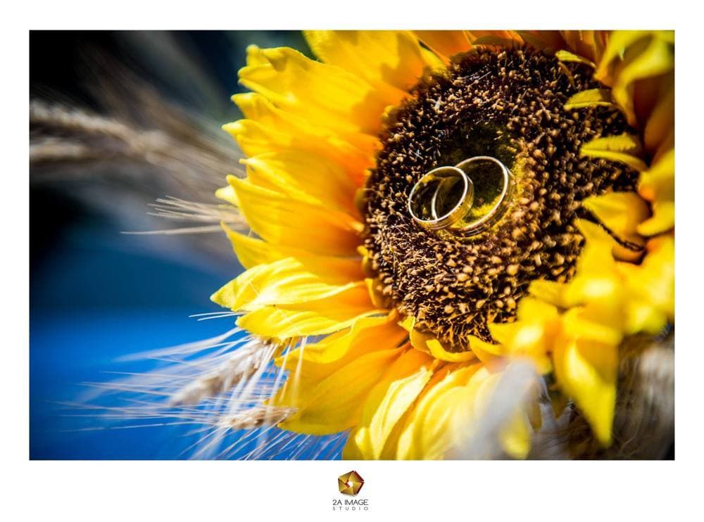 Larisa &amp; Calin - Fotografii de 2A Image Studio