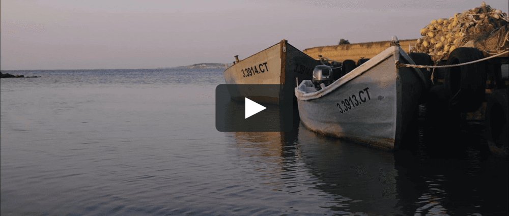 t e  i u b e s c - Fotografii de Aurelian Mirea