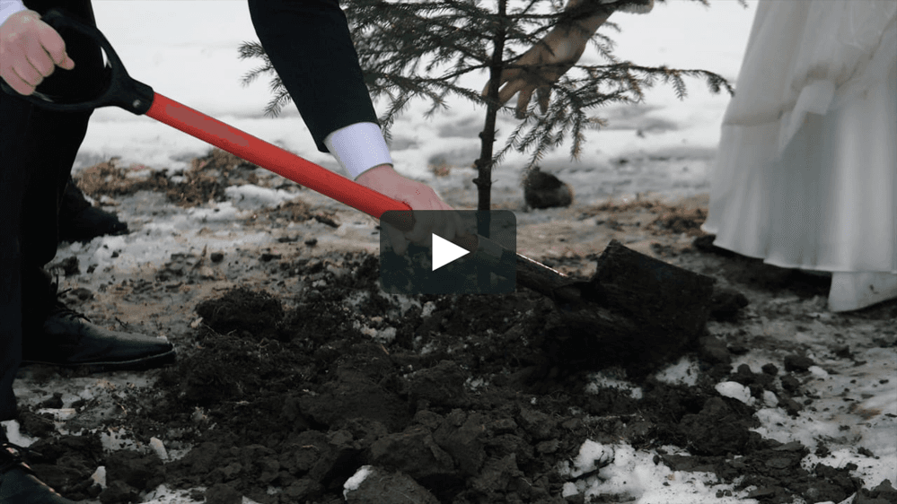 Denisa și Tudor - Fotografii de DIA-FILM