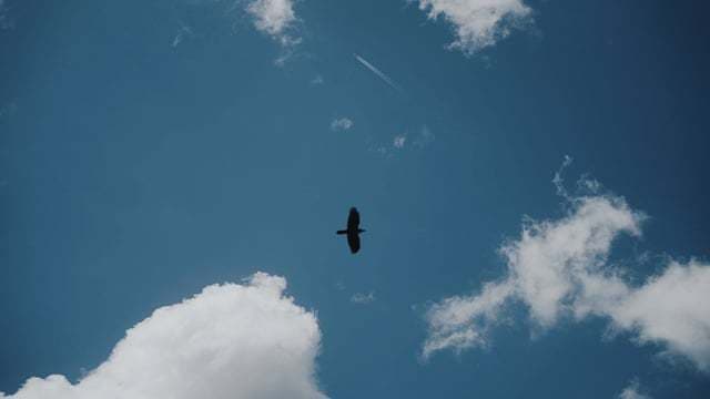 Tano si Otilia - Fotografii de Branc David