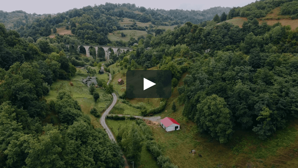 Simion si Ileana - Fotografii de Andrei M. Vacar