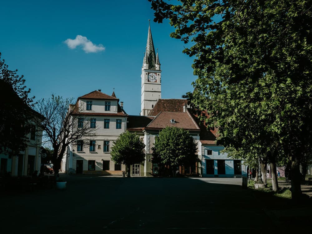 Felicia si Daniel - Fotografii de Picturesc