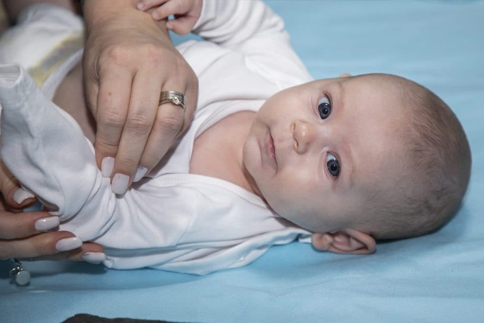 Tudor - Fotografii de ProView Media