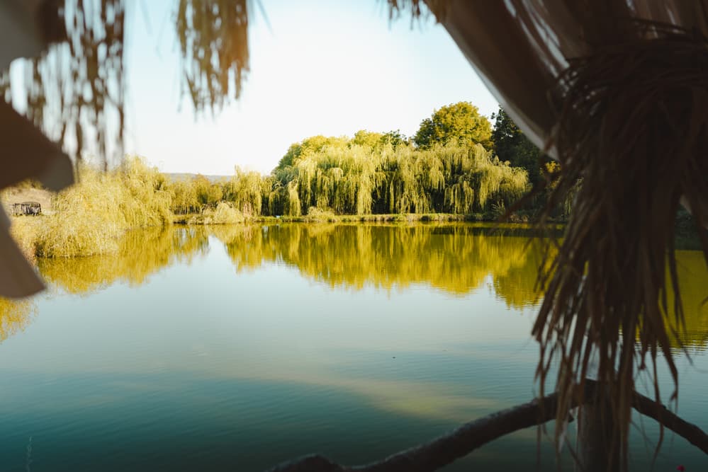 Doru &amp; Gina - Fotografii de Bogdan Ionescu
