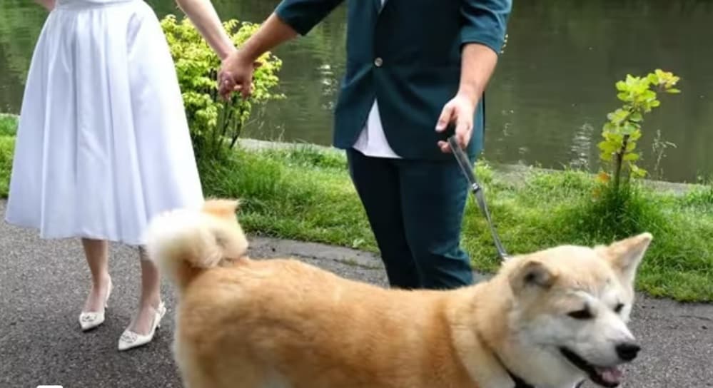 Ecaterina &amp; Adrian - Fotografii de Artiv Wedding Films