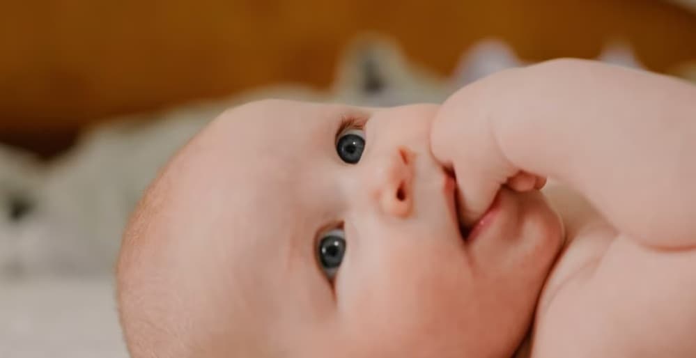 Stefan Matei - Fotografii de Daniel Coca