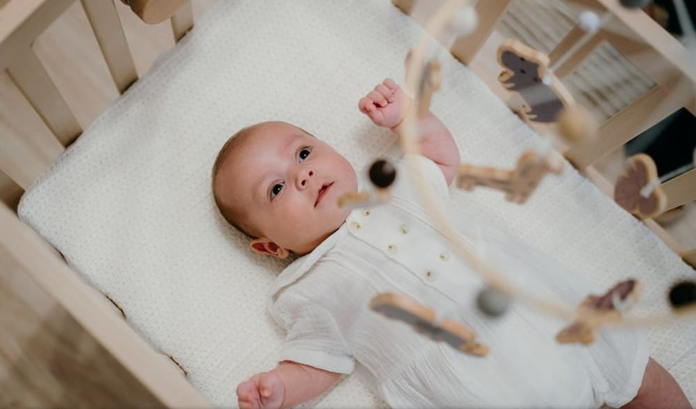 Stefan Andrei - Fotografii de Alberto Bratulescu