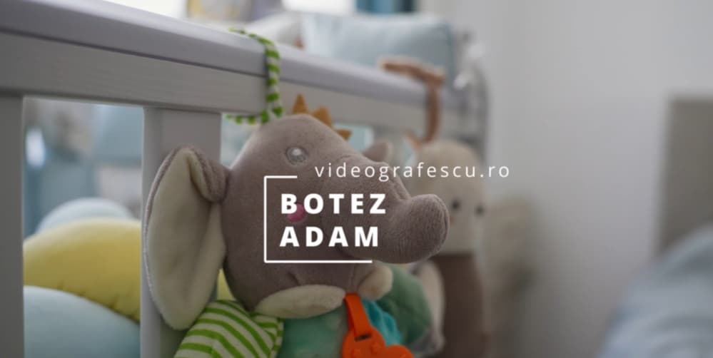 Adam - Fotografii de Videografescu