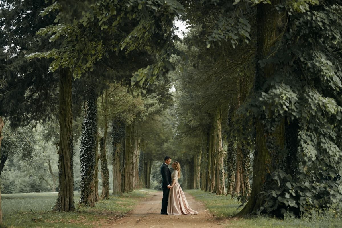 Domeniul Stirbey - locatie pentru nunti in Buftea, Ilfov