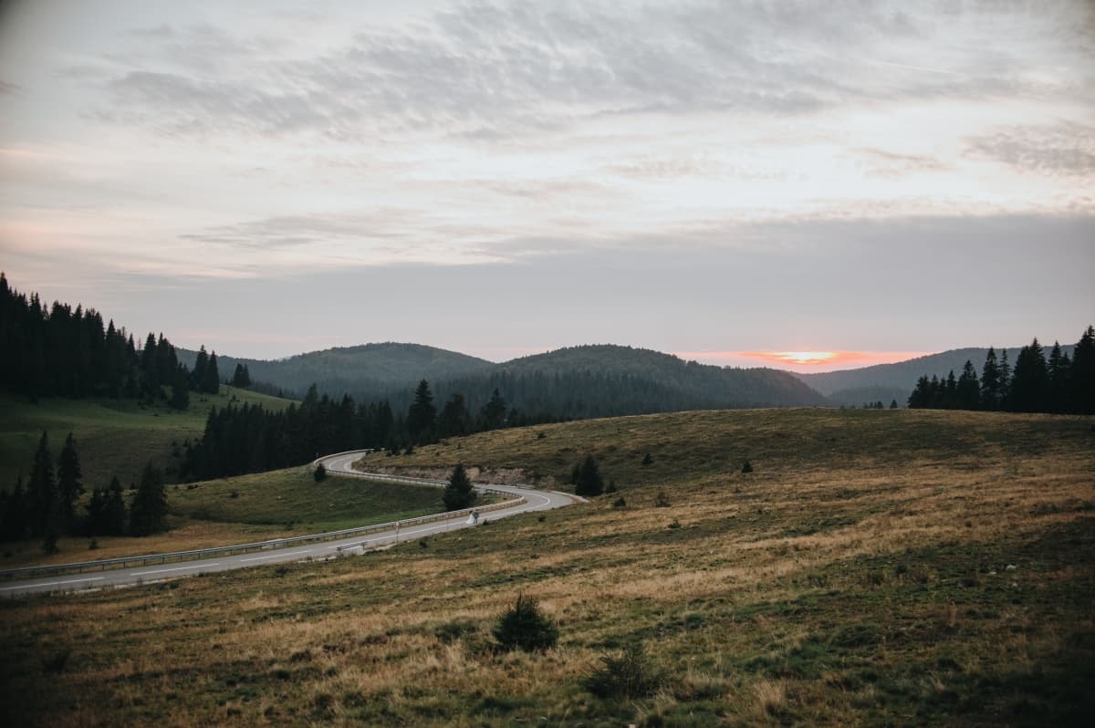 Fotografie de Urs Otto la Padiș