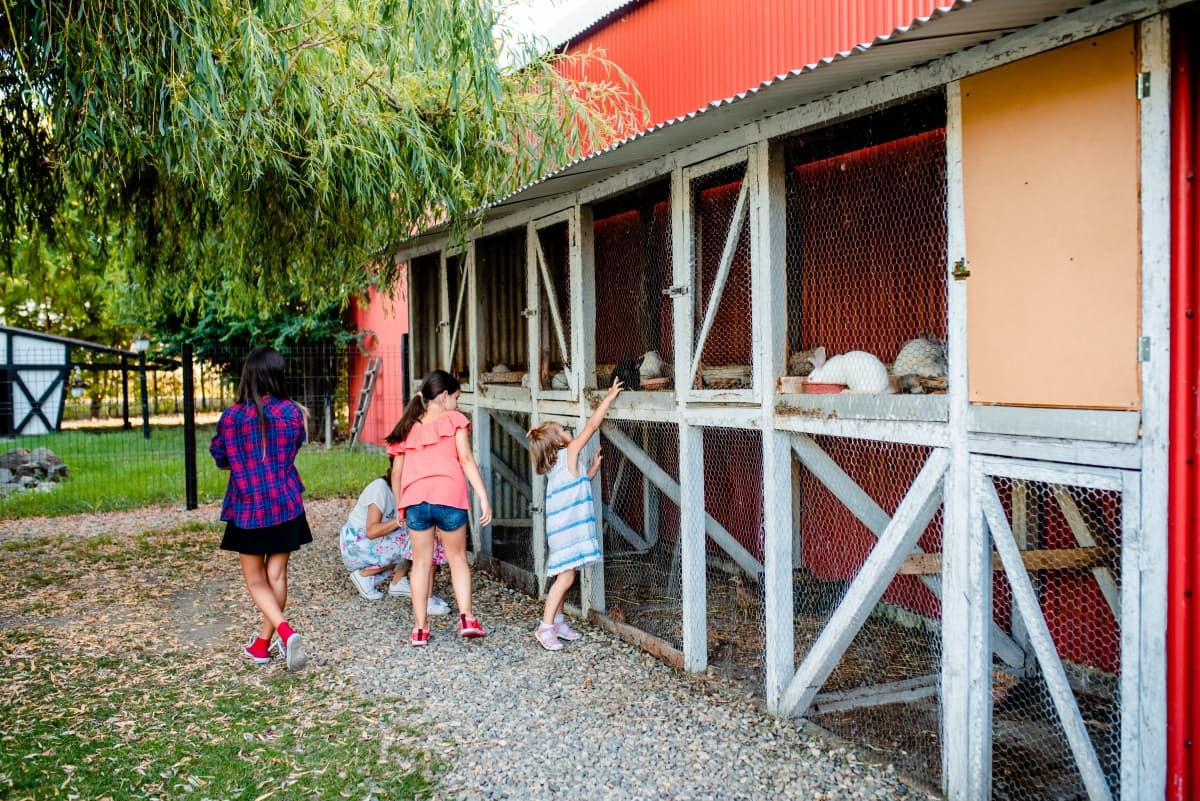 Fotografie de Laurentiu Nica la Hanul cu Ponei