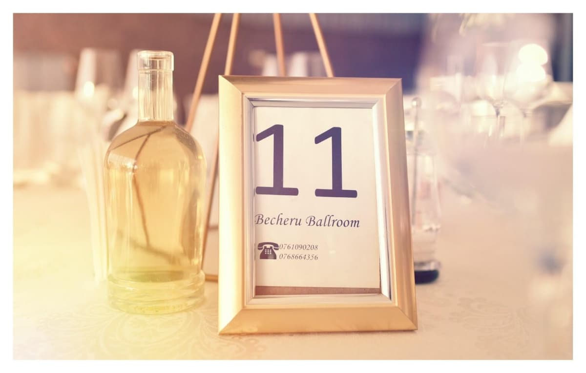 Becheru Ballroom - locatie pentru nunti in Turburea, Gorj