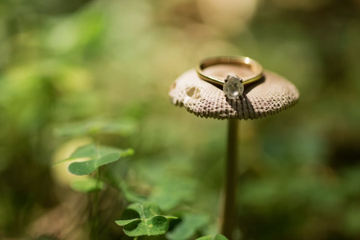 Fotografie de Dumitru Robert Photography la Cabana Malaiesti