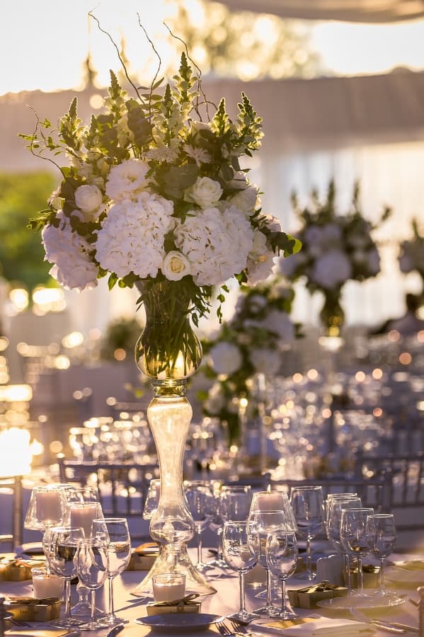 Fotografie de Photogenica la Studiourile Media Pro