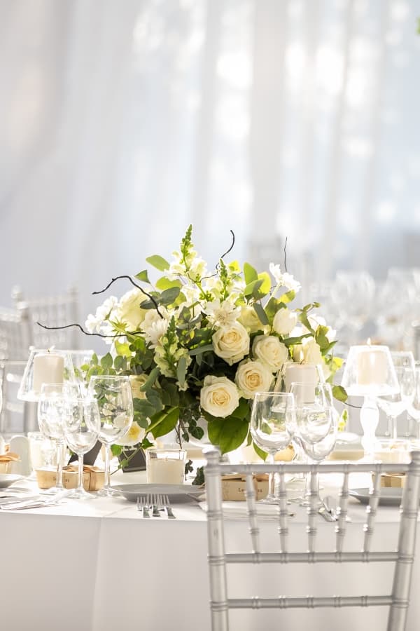 Fotografie de Photogenica la Studiourile Media Pro