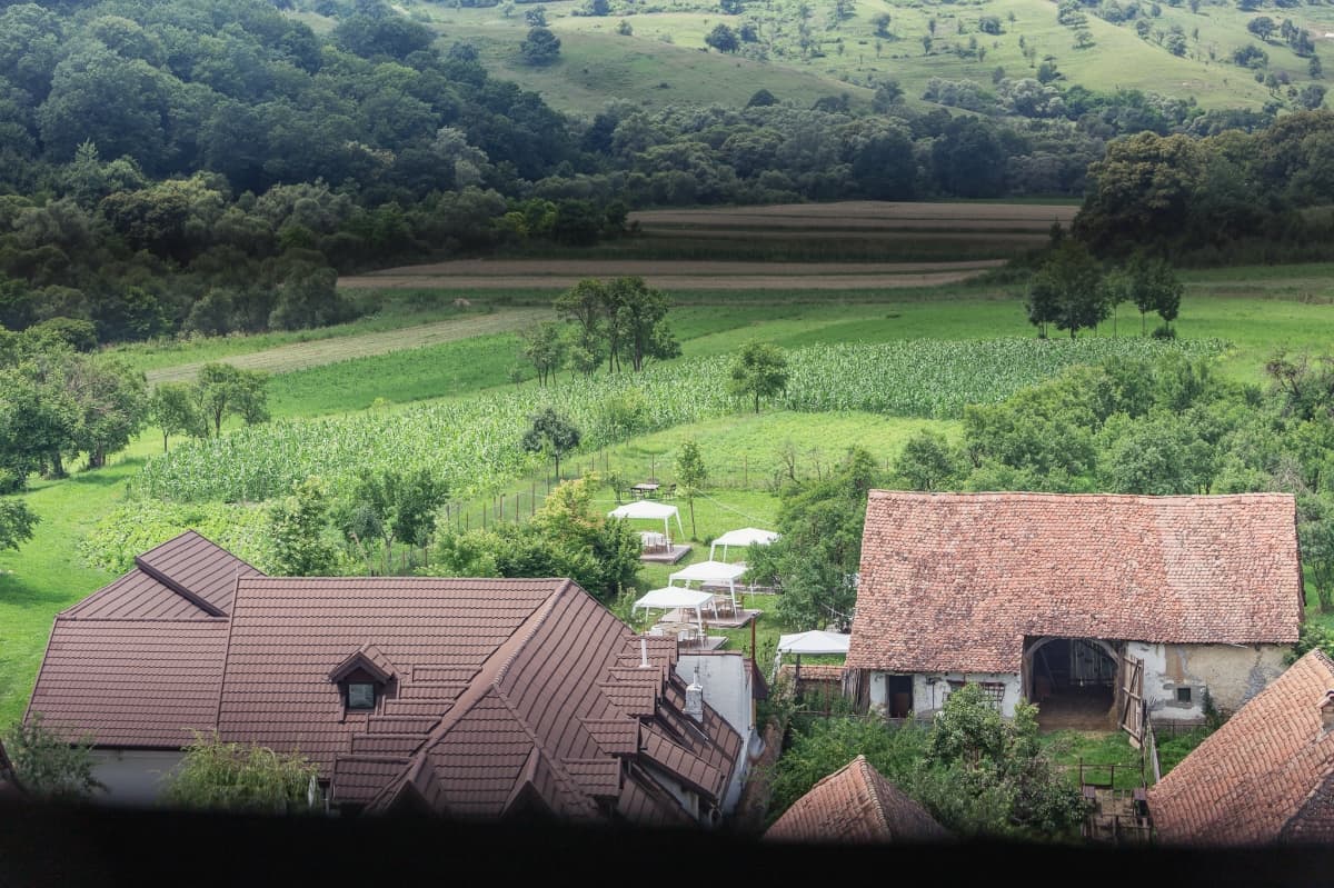 Fotografie de Photogenica la Conacul Lunca Popii