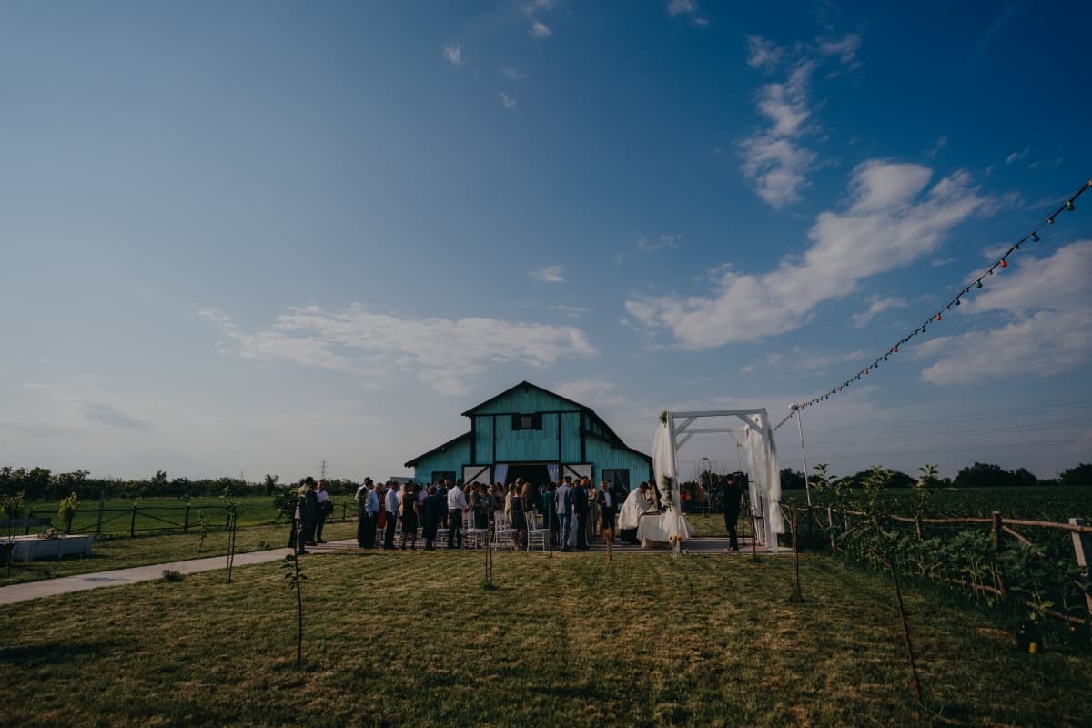 Artist - The Barn - locatie pentru nunti in Tâncăbești, Ilfov