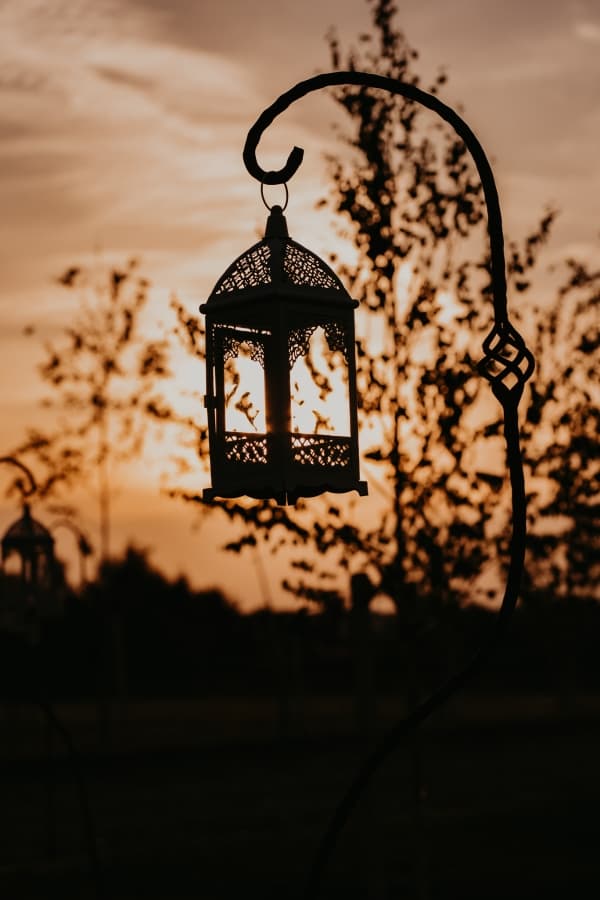 Padurile Regale - locatie pentru nunti in Corbeanca, Ilfov