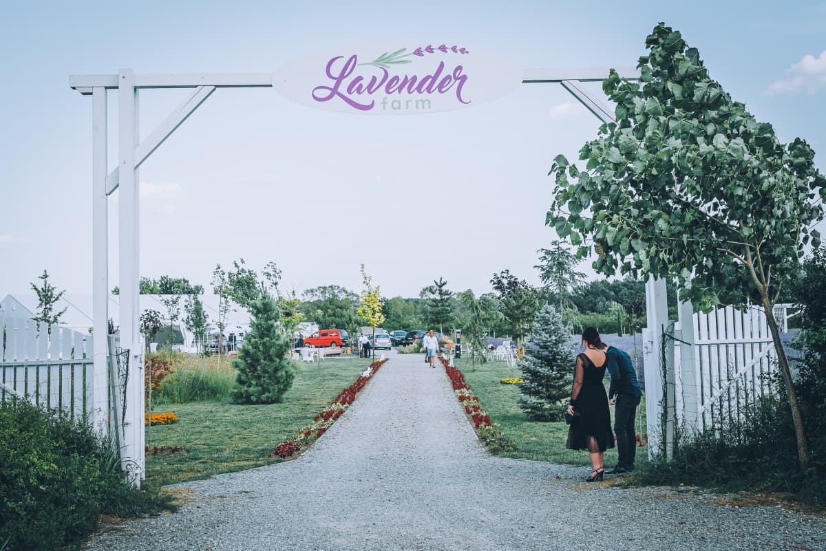 Fotografie de Ionut Jarca la Lavender Farm