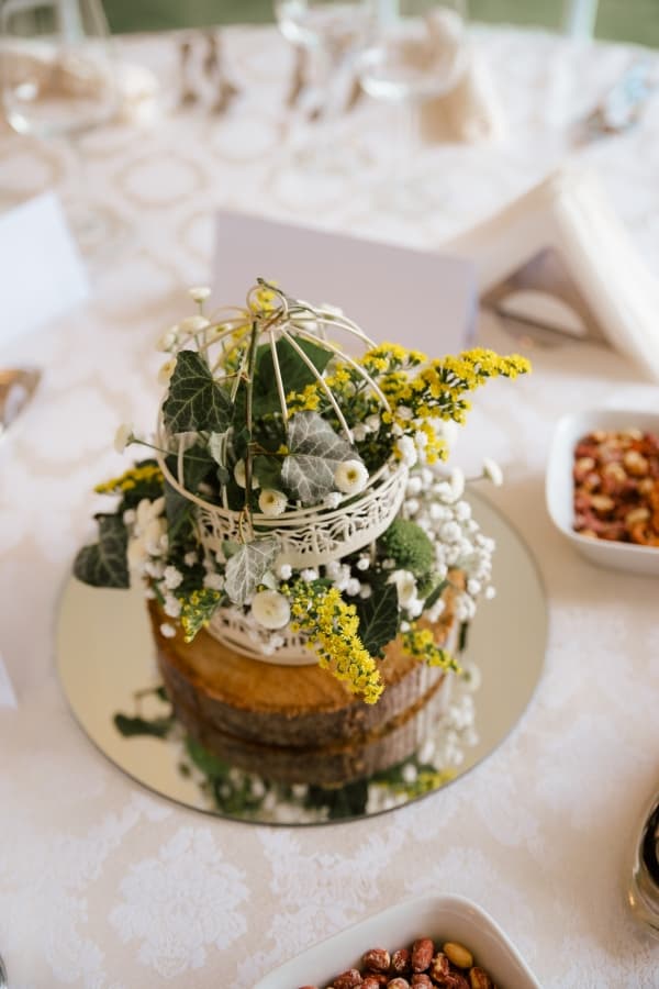 Fotografie de Mihai Roman la Green Garden Events