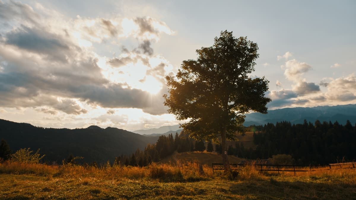Amfiteatrul Transilvania - locatie pentru nunti in Moieciu de Sus, Brașov