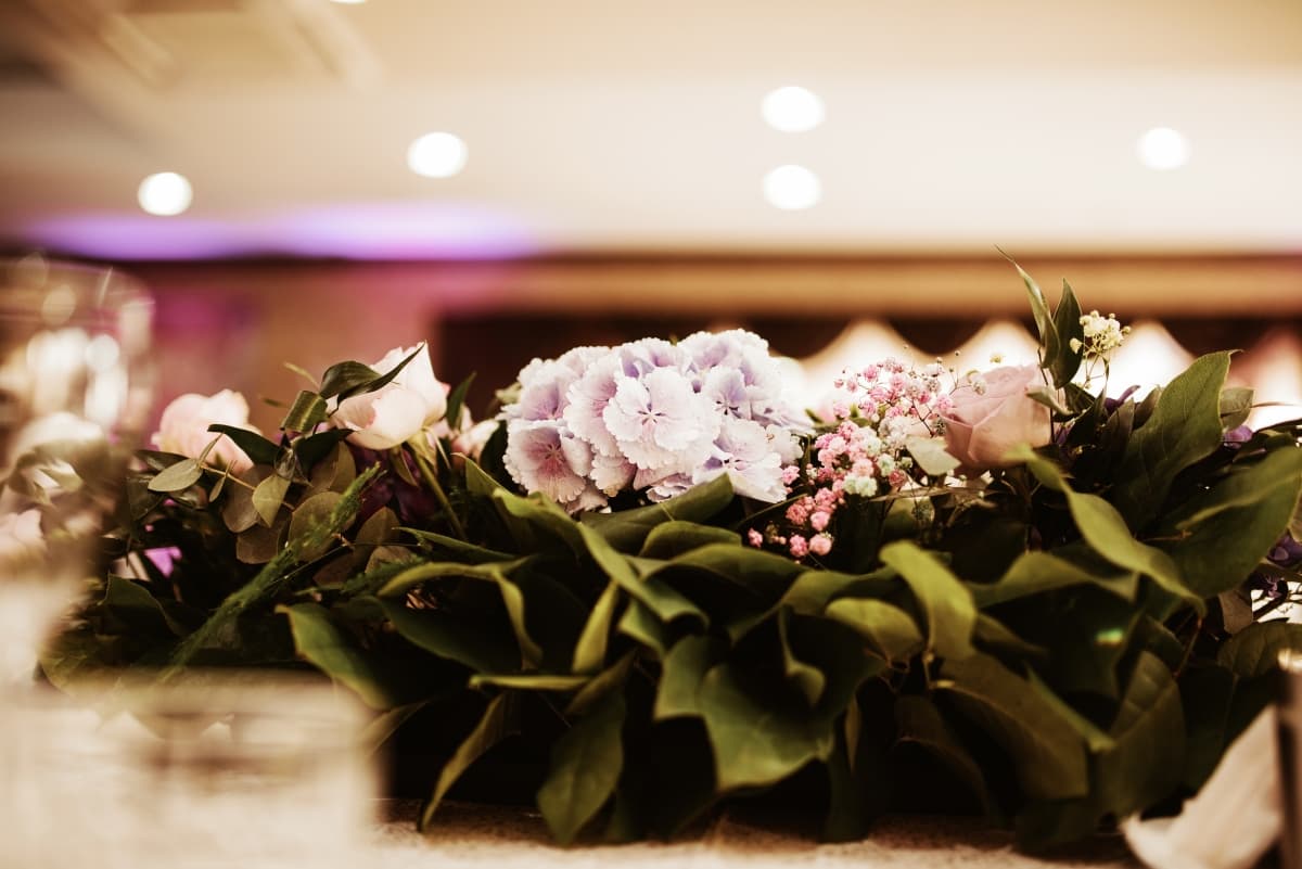 Fotografie de Fotoclipa la Salon Bellona