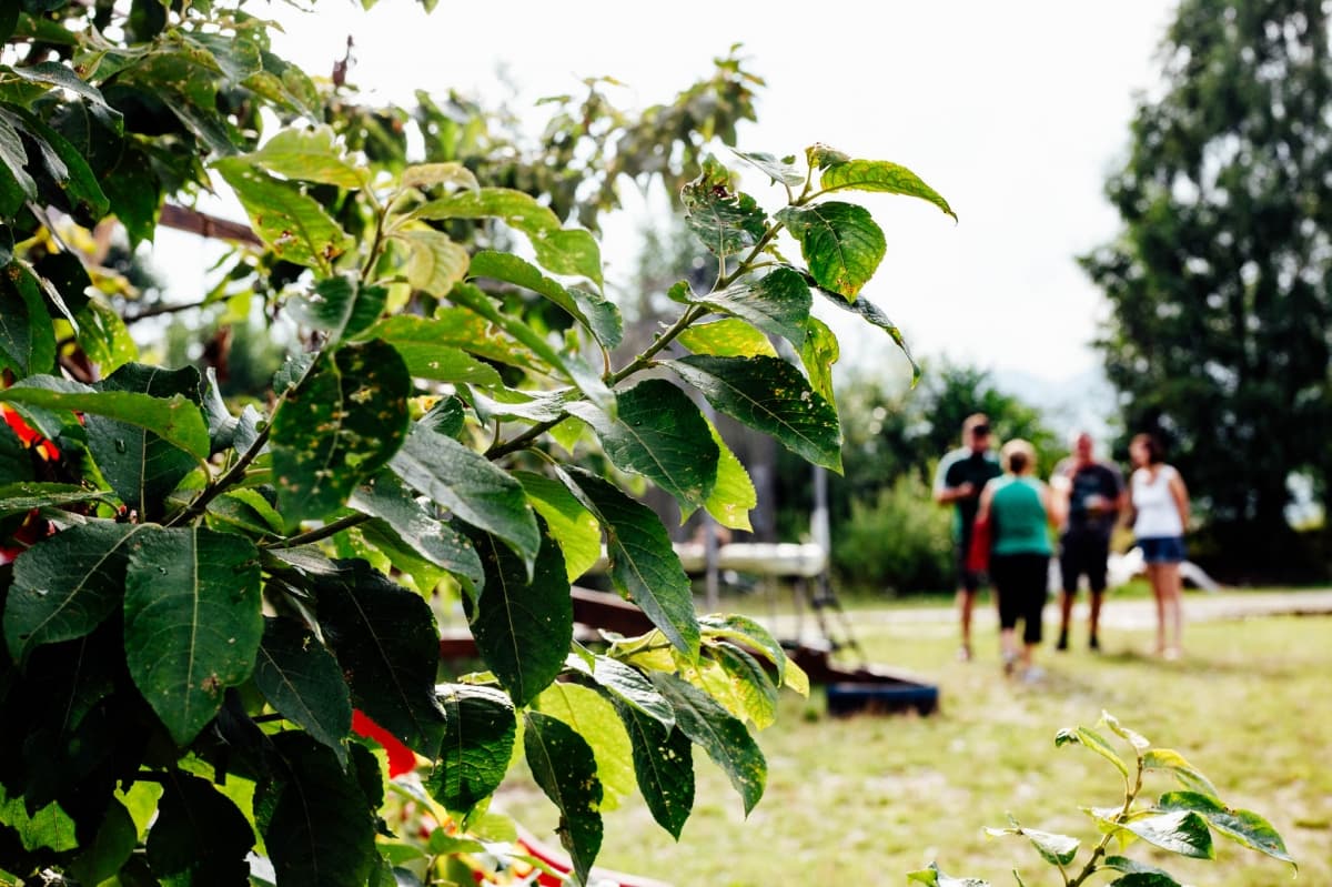 Fotografie de Live Love Laugh - Dana Sacalov la Cetatea Carului