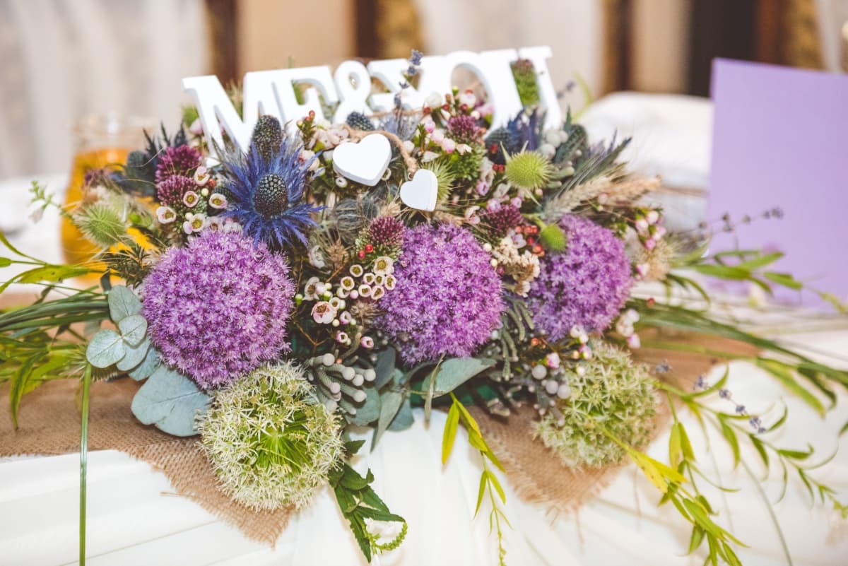 Fotografie de Slagian Peiovici la Popasul Caprioarei