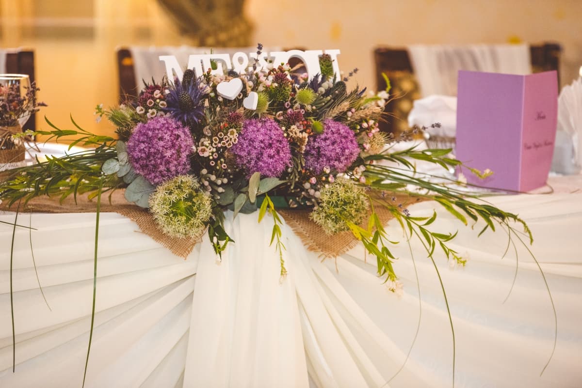 Fotografie de Slagian Peiovici la Popasul Caprioarei