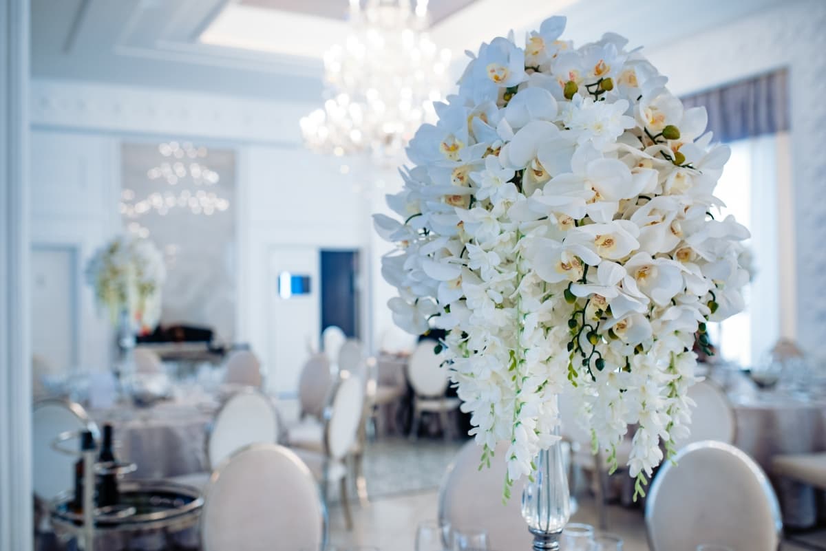 Valery IV - locatie pentru nunti in Timișoara, Timiș