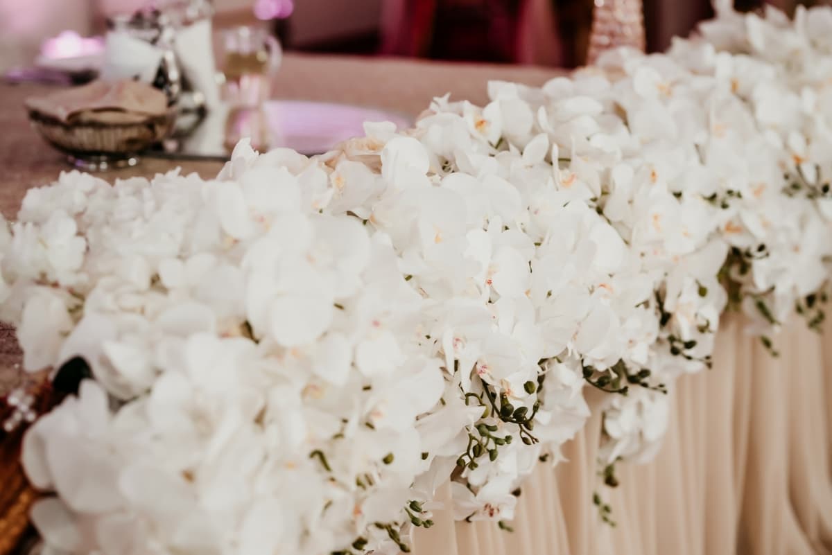 Fotografie de Slagian Peiovici la La Arcade