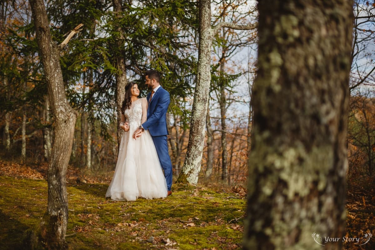 Paltinis - locatie pentru nunti in Păltiniș, Sibiu