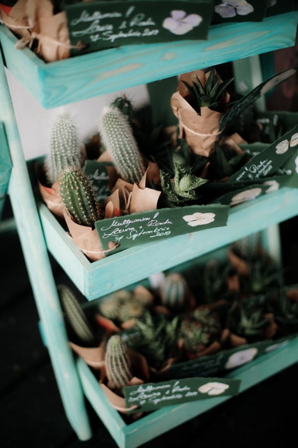 Forest Retreat &amp; Spa - locatie pentru nunti in Comuna Măciuca, Vâlcea