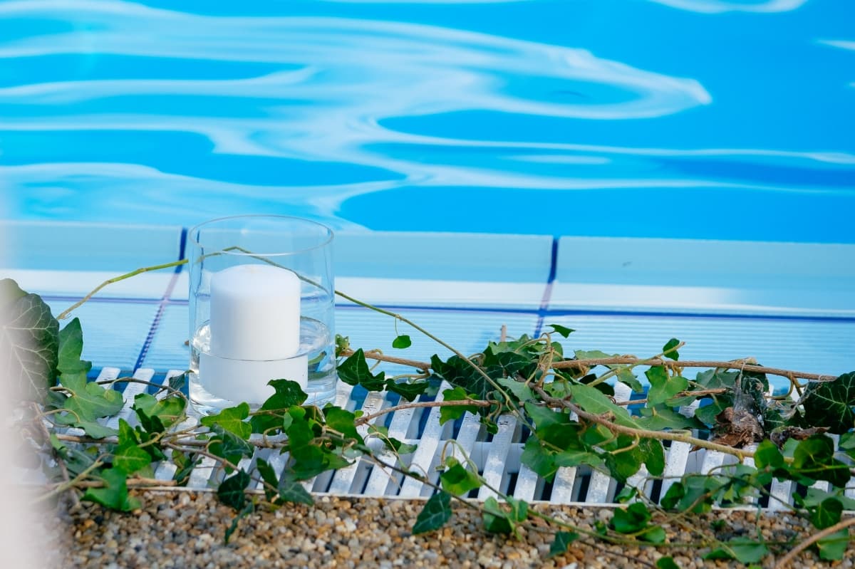 Fotografie de Vision Photography By Geo Dolofan la Papillon